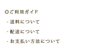 ガイド