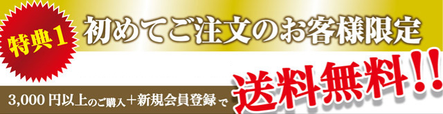 送料無料