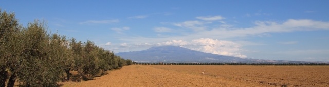 シチリアエトナ山と麓の有機菜園の写真