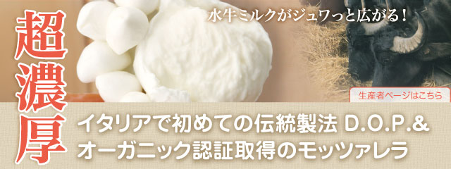 モッツァレラチーズブッファラ