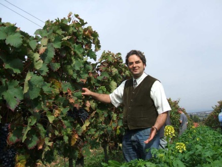 生産者ハインツ氏が有機葡萄農園にいる写真