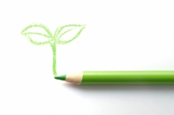 緑色の色鉛筆と新芽のイラスト写真