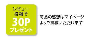 レビューポイント付与紹介バナー画像
