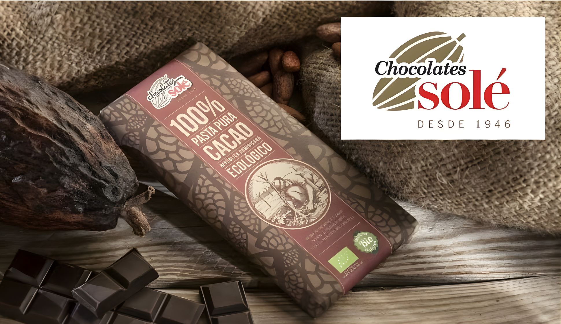 有機JAS認証 タブレット カカオ100％ チョコレートソール社