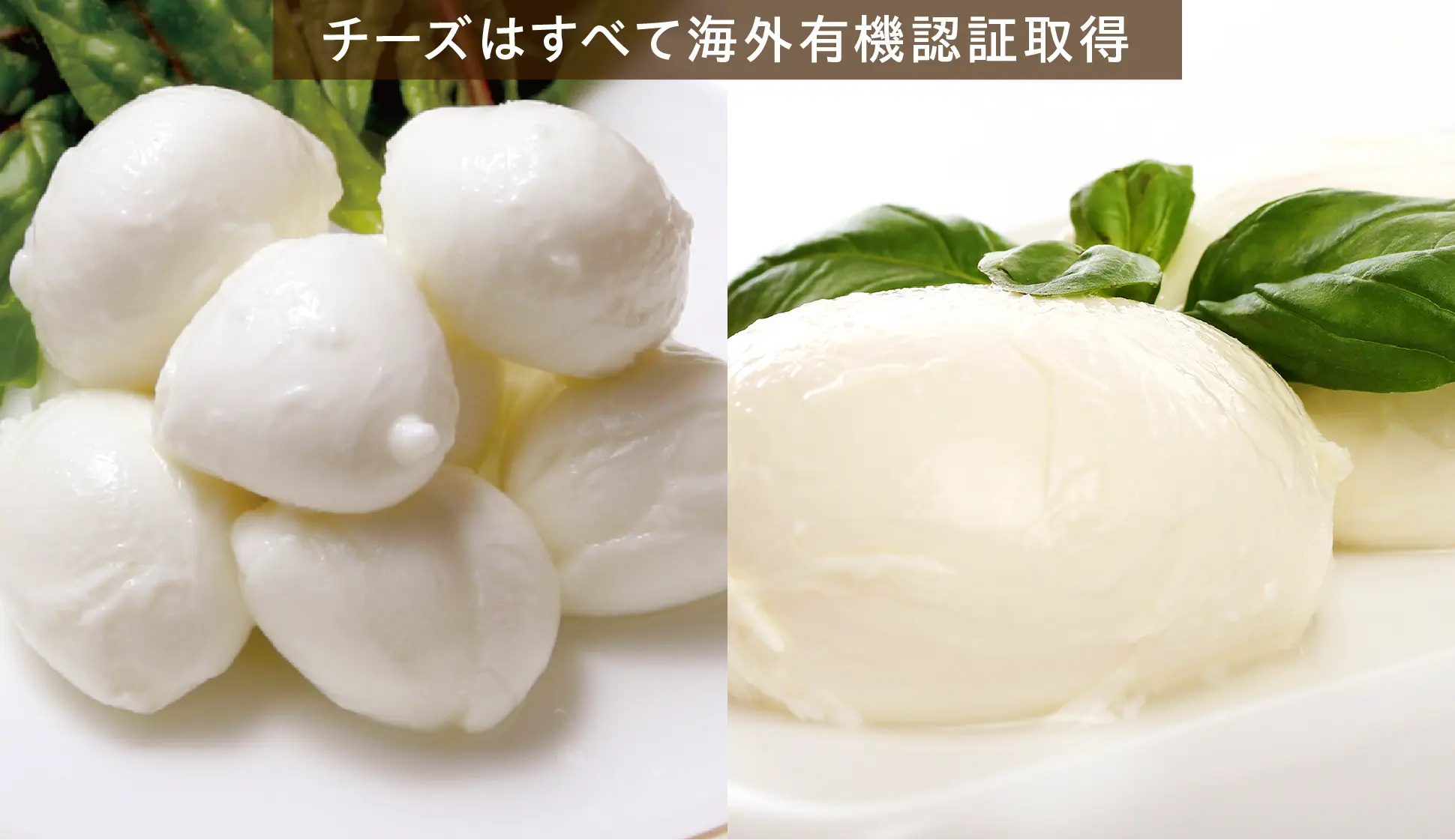 包み焼きピザ カルツォーネ】「イタリアモッツァレラのマルゲリータ